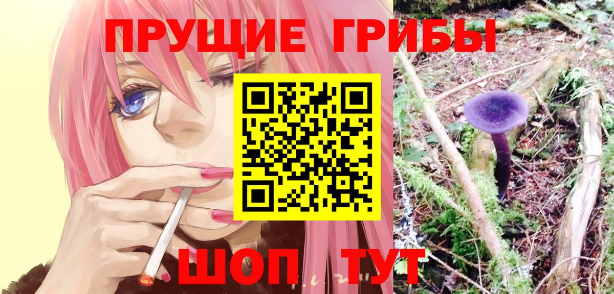 Галлюциногенные грибы GOLDEN TEACHER  Вход с VPN  Междуреченск  Галлюциногенные грибы прущие грибы 